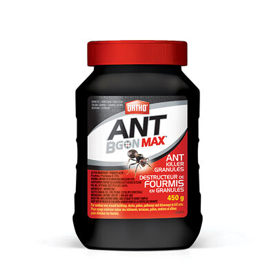 Ortho® Ant B Gon Max® Destructeur De Fourmis En Granules